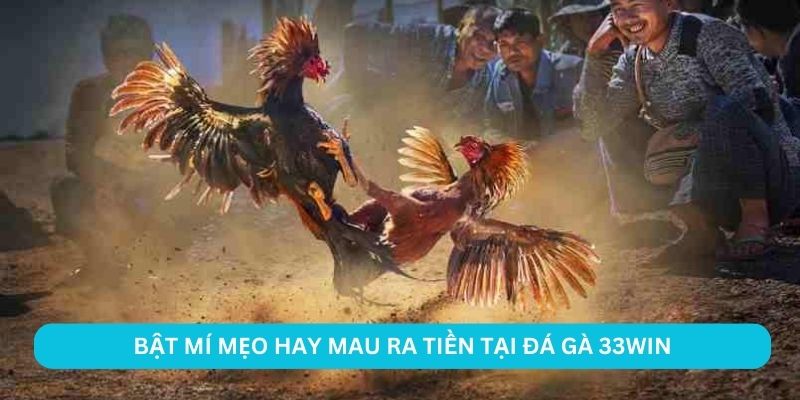 Bật mí mẹo hay mau ra tiền tại đá gà 33WIN