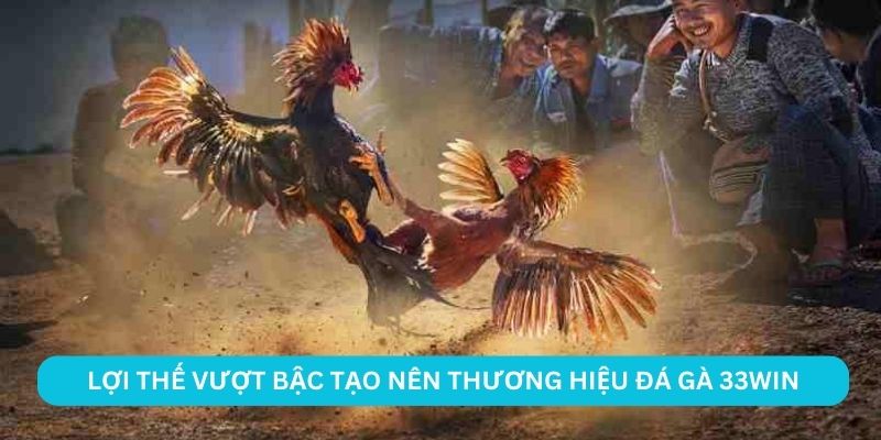 Lợi thế vượt bậc tạo nên thương hiệu đá gà 33WIN